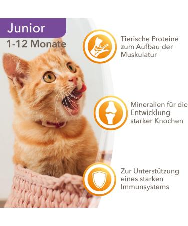 IAMS DELCHTS Kitten Wet Food - High-Quality Chicken in Sauce Multipack (24 x 85g) for Juniors 1-12 Months - International Shipping Available - Buy Online on SooperMarket.com