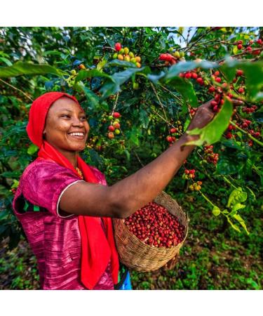 1kg Sidamo Green Coffee Beans - Premium Ethiopian Roast | Rich Taste & Aroma | Perfect for Home Roasting | Ideal Gift - Buy Online on SooperMarket.com