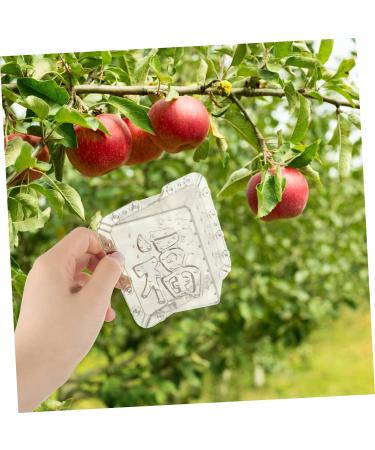 OFFSCH Apples Growth Mold 2pcs Square Apple Molds Fruit Growth Shaping Accessories Fruit Mold Fruit Shaper Melon Stereotypes - Buy Online on SooperMarket.com