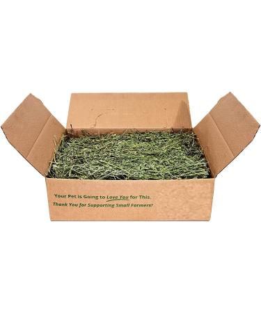 Timothy Rabbit Hay - Fresh Feeding Hay for Rabbits & Guinea Pigs Green Dust-Free Long-Stem Sun-Dried Feeding Hay 100% Natural Food (500 Gram) 500.00 g (Pack of 1)