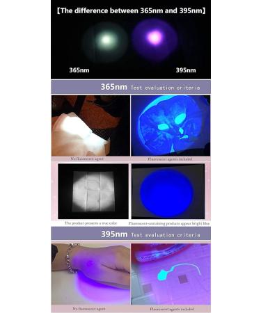 Darkbeam UV Flashlight 365/395nm - Portable Black Light Detector for Dog Urine Pet Spots & Banknote Identification - Mini Handheld LED Lamp - Buy Online on SooperMarket.com
