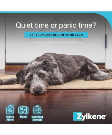 Zylkenee 450mg - 20 Capsules | Natural Stress Relief Supplement for Pets | Fast International Shipping - Buy Online on SooperMarket.com