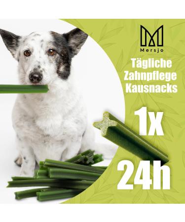 Mersjo Dog Dental Sticks | Healthy Grain-Free Treats for Medium Dogs (10-25kg) | 56 Pieces | Reduces Bad Breath & Supports Oral Hygiene - Buy Online on SooperMarket.com