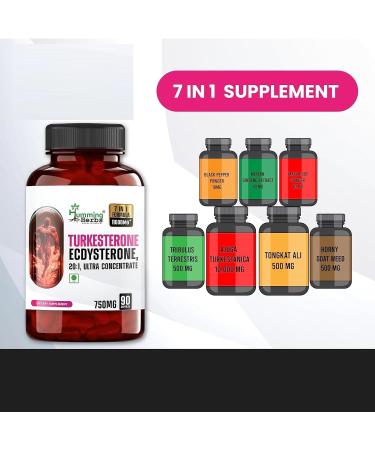 SS Turkesterone Muscle Building Supplement | Boost Muscle Growth Memory Support - 90 Capsules - Buy Online on SooperMarket.com