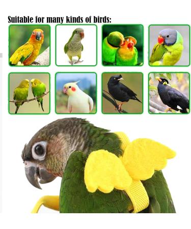 DKDDSSS 2 PCS Bird Harness Pet Parrot Leash Training Supplies Parrot Harness Leash Outdoor Adjustable for Cockatiel Mynah Monk Parakeet Macaw (Blue and Yellow) - Buy Online on SooperMarket.com