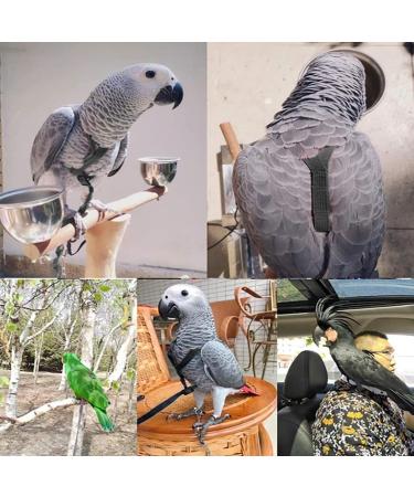 Buy Psopp Bird Dishes & Leash for Parrots | Adjustable PAPPAGES-FREILLEINE for Grayka Cadu Black L - International Shipping - Buy Online on SooperMarket.com