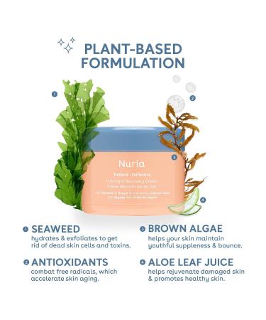 Nuria Defend Overnight Face Cream - Night Cream for Skin Recovery with Seaweed & Aloe 50mL - Buy Online on SooperMarket.com