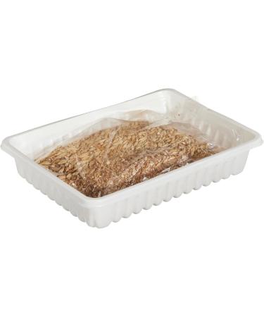 Buy TX-4235 Cat Grass Bowl 100g Ideal Pet Health & Wellness | Fast International Shipping - Buy Online on SooperMarket.com
