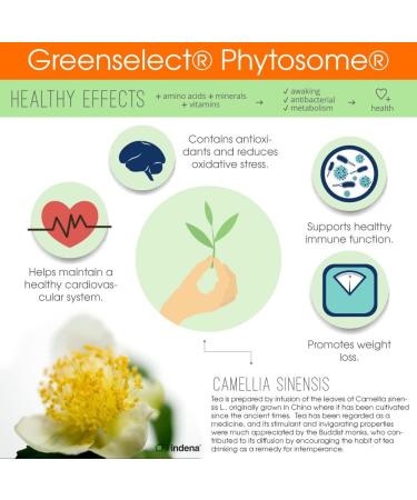 Genius Probiotics for Weight Loss - 30 Servings | Best Gut Health Supplement - Buy Online on SooperMarket.com