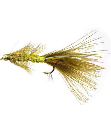Region Fishing Wooly Bugger Streamer Assortment | Mustad Signature Fly Hooks | Trout and More | 12ct | Hooks #6-8 - Buy Online on SooperMarket.com