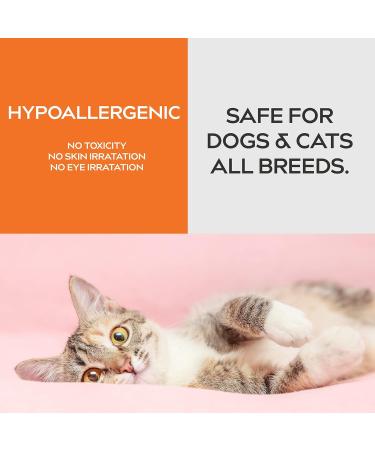 Dynamic Element Pet Odour Eliminator Spray - 9 Fl Oz - Mineral Formula for Strong Odours - Carpet Smell Freshener - Unscented Remover for Dog & Cat Urine on Carpet - Buy Online on SooperMarket.com