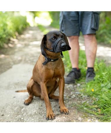 Reflective Total Pet Figure of 8 Dog Lead - Anti-Pull Slip Lead with Padded Nose Support | 180cm - Buy Online on SooperMarket.com