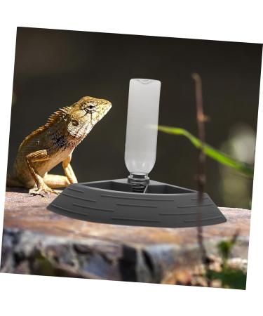 BELLIFFY Turtle Drinker Auto Feeder Reptile Food Bowl Automatic Reptile Feeder Automatic Waterer Pet Plastic 17.00X17.00X3.50CM Grey - Buy Online on SooperMarket.com