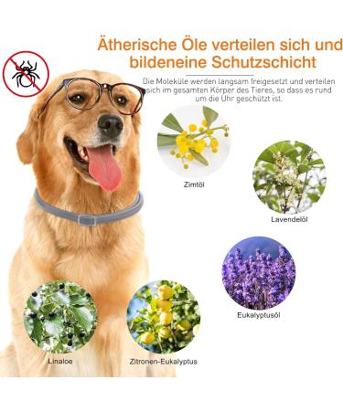 DEWEL 63.5cm Adjustable Waterproof Tick Collar for Dogs & Cats - Effective Anti-Flea Solution - Buy Online on SooperMarket.com