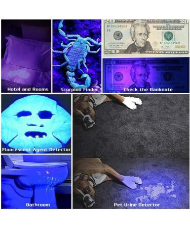 Ultrafire UV Flashlight - Super Power 395-405NM LED Black Light for Leak Detection Pet Stains & Bed Bugs - International Shipping Available - Buy Online on SooperMarket.com