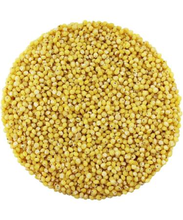 Organic Millet Hulled 500g (BWFO) - Buy Online on SooperMarket.com