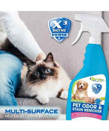 STAR BRITE Multi-Surface Pet Odor & Stain Remover Spray - Triple Enzyme Neutralizer - 22 OZ | Effective Pet Stain Solution Worldwide - Buy Online on SooperMarket.com