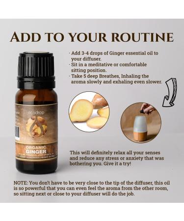 Organic Ginger Essential Oil 10ml by Ecodrop - Therapeutic Grade, Cosmos Certified, Pure Ginger Root Oil for Aromatherapy with Free E-Book - Buy Online on SooperMarket.com