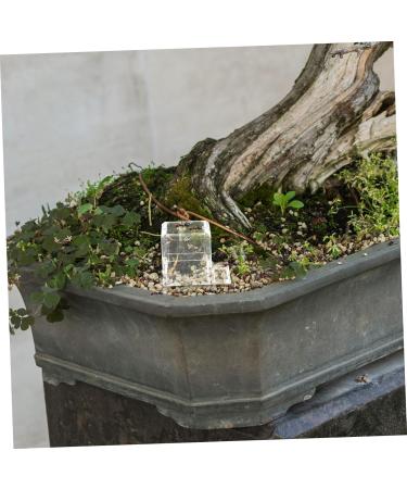 Balacoo 3pcs Pet Water Feeder Ants Waterer Cup Ants Nest Water Feeding Area Ants Feeder Plastic Large Basin - Buy Online on SooperMarket.com