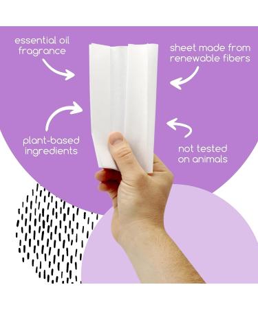 Beyond Natural Eco-Friendly Dryer Sheets - Recyclable Packaging - 80ct Box - Buy Online on SooperMarket.com
