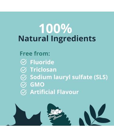 Green Beaver Naturapeutic Toothpaste - Enamel Protect Fresh Mint - 3-Pack - Buy Online on SooperMarket.com