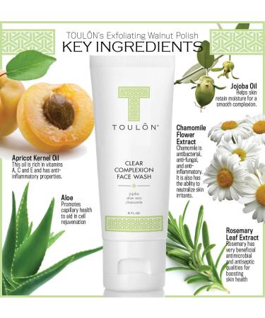 TOULON Aloe Vera Face Wash | Anti-Aging Cleanser for Oily Skin | Antioxidant Facial Cleanser for Men & Women - Clear Complexion - Buy Online on SooperMarket.com