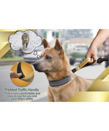 Premium 2-in-1 Jogging Leash & Normal Dog Leash for Medium & Large Dogs | Double Handle & Belly Belt for Jogging Hiking & Walking - Buy Online on SooperMarket.com