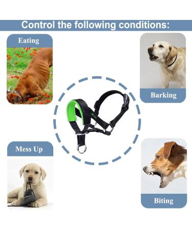 Padded Dog Head Collar for Anti-Pulling Control | Adjustable Head Harness in L Lake Blue - Buy Online on SooperMarket.com