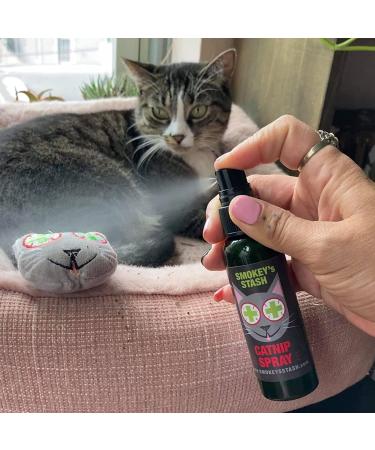 Smokey's Stash Catnip Spray - 2 Ounce Premium Potency Treat for Cats - Buy Online on SooperMarket.com