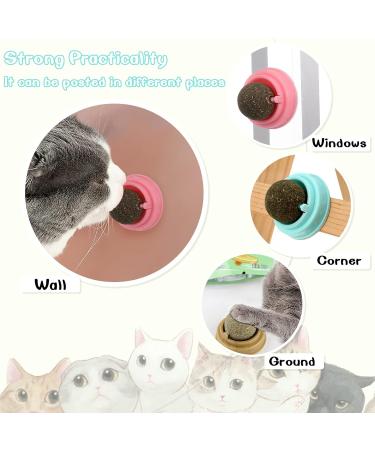 Xinstroe 4 Pack Catnip Balls Toys - Rotating Wall Catnip Balls for Engaging Cat Play | Shop Internationally - Buy Online on SooperMarket.com