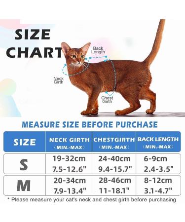 Supet Cat Dishes & Line Set - Perfect Feeding Solution for Kittens | International Shipping Available - Buy Online on SooperMarket.com