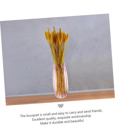 MAGICLULU 200 Pcs Dried Wheat Ears Bouquet Decor Wheat Stalk Natural Wheat Ear Dried Flowers Bouquet Dry Flowers Floral Arrangement Wheat Ear Wedding Wheat Ear Dried Flowers. Barley Props Yellowx2pcs 52X10CMx2pcs - Buy Online on SooperMarket.com