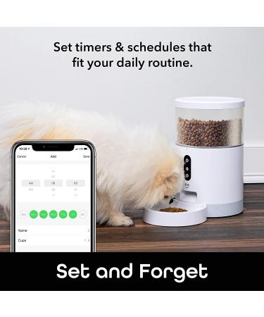 Geeni Smart Feeder  4 Liter Automatic Pet Dog and Cat Feeder  Wi-Fi Control Compatible with Alexa and Google Home - Buy Online on SooperMarket.com