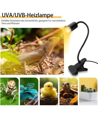 Premium Turtle Heat Lamp for Reptiles - UVB Terrarium Light with 240cm Cable & Adjustable Swan Neck | Ideal for Aquariums - No Bulb Included - Buy Online on SooperMarket.com