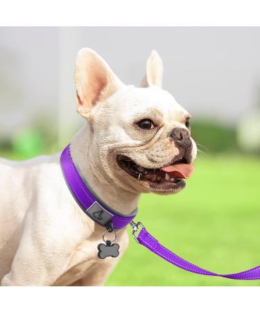 Joytale Softly Padded Neoprene Dog Collar for Small Dogs | Reflective Nylon Wide Collar in Purple - 1 Pack - Buy Online on SooperMarket.com