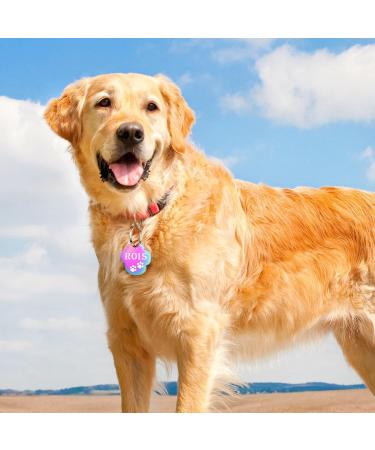 Personalized Yehanti Dog ID Tag - Engraved Stainless Steel Name & Contact Info for Dogs Cats & Puppies - Buy Online on SooperMarket.com