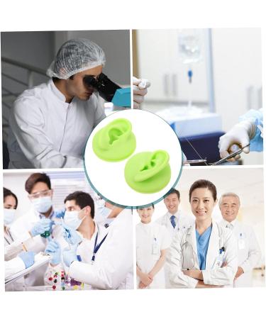 Healeved 2pcs Colored Earring Molds Teaching Aid - Green 3D Human Ear Model - Buy Online on SooperMarket.com