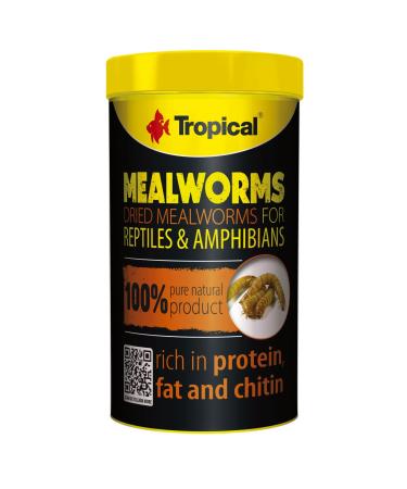 Tropical Dried Meal Worms - 30 g