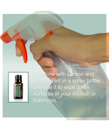 doTERRA Eucalyptus Radiata Essential Oil - 15 mL | Pure & Natural Aromatherapy - Buy Online on SooperMarket.com