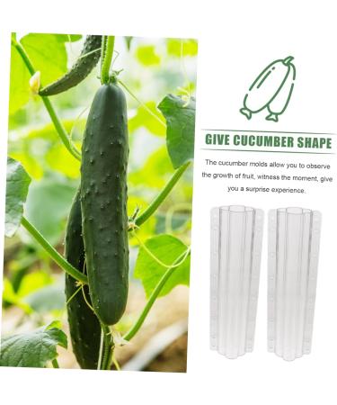 Milisten 10 Pcs Vegetable Shaping Fruit Cucumber Garden Vegetable Gourd Suite - Buy Online on SooperMarket.com