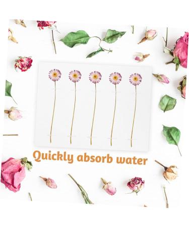FRCOLOR Dried Flower Blotting Paper Set - Embossed Perforated Specimen Boards for Herbarium, White Flowers Paper - 4pcs 20x15cm - Buy Online on SooperMarket.com