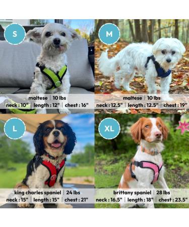 Gooby Choke Free Comfort X Step-In Dog Harness - Large Red (17-21) - Buy Online on SooperMarket.com
