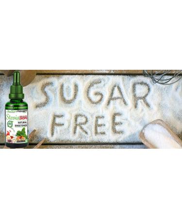 Alphapower Original Stevia Sugar Drops 100ml - Vegan GMO-Free Zero Calorie Liquid Sweetener for Baking & Beverages - Buy Online on SooperMarket.com