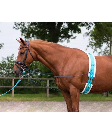 Countrypride HORSE LUNGING ROLLER LUNGING GIRTH FOR HORSE TRAINING SCHOOLING SKY SIZE SHET-FULL Pony - Buy Online on SooperMarket.com