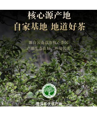 Pu-erh tea 2016 Yibang 357g Raw - Buy Online on SooperMarket.com