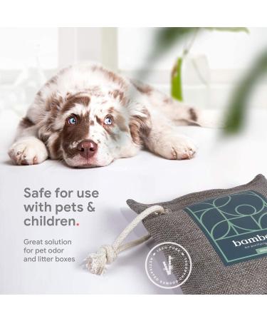 8-Pack Bamboo Charcoal Air Purifying Bags | Powerful Odor Absorber for Home & Car | Kid & Pet-Friendly Fresheners - Buy Online on SooperMarket.com
