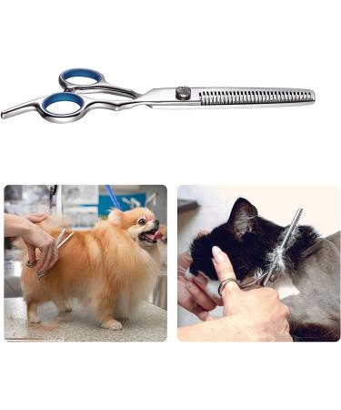 Pogeair 6-in-1 Safety Round Head Stainless Steel Dog Grooming Scissors Kit - Heavy Duty Titanium Coated Pet Grooming Scissors for Dogs, Cats & Other Pets - Buy Online on SooperMarket.com