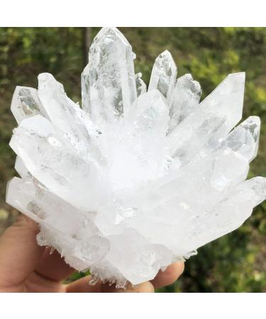 Natural Transparent White Quartz Crystal Cluster Specimen Reiki Stone kaixun (Size : 400-450g) - Buy Online on SooperMarket.com