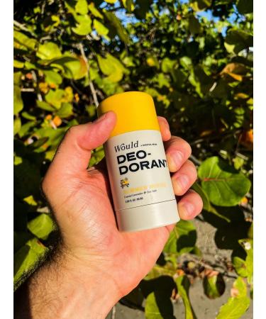 Barstool Sports Men's Aluminum-Free Deodorant - Coastal Lavender and Sea Salt Scent | Natural Odor Protection with Essential Oils | Gentle on Sensitive Skin - Buy Online on SooperMarket.com