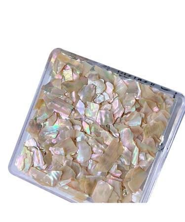 Irregular Shell Slices Nail Supplies Colorful Shell Nail Art Slices 3D Nail Art Flakes For Manicure Decoration DIY Nail Art Shells natural color